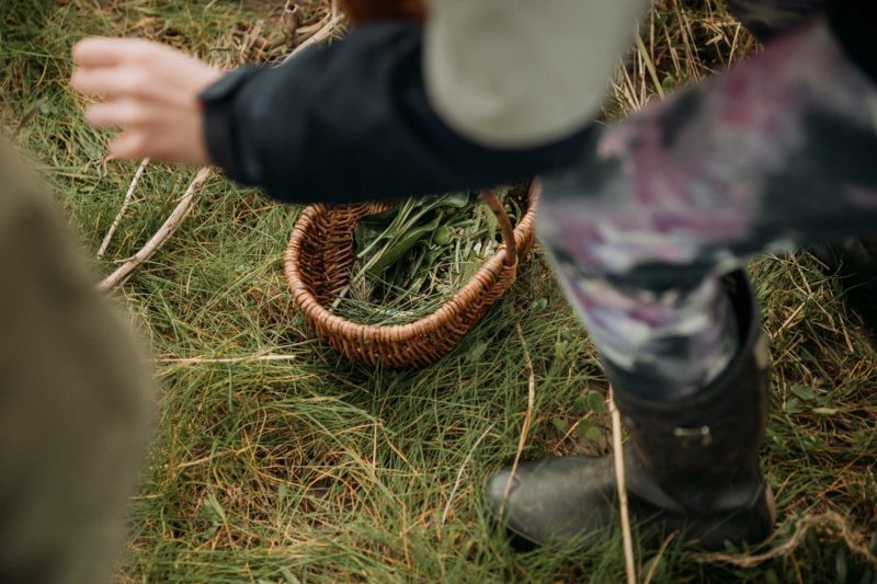 Aerial shot of a foraging basket full of foliage