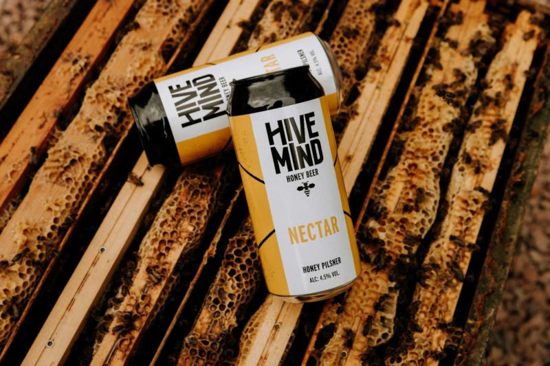 Two yellow cans of Hive Mind Nectar sat on top of a beehive